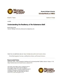 Understanding the Resiliency of the Kalamazoo Mall