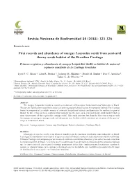 321-326 First Records and Abundance of Margay Leopardus Wiedii From