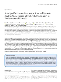 Area-Specific Synapse Structure in Branched Posterior Nucleus Axons Reveals a New Level of Complexity in Thalamocortical Networks