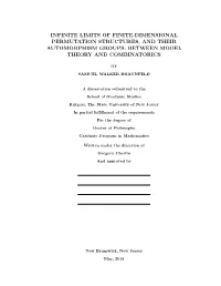 Between Model Theory and Combinatorics