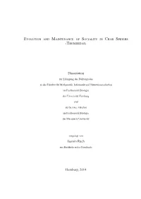 Dissertation Jasmin Ruch Hamburg, 2014