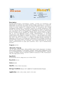 GFI1B Antibody Order 021-34695924 Orders@Ab-Mart.Com Support 400-6123-828 50Ul Support1@Ab-Mart.Com 100 Ul √ √ Web
