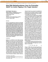 Hhai DNA Methyltransferase Uses the Protruding Gln237 for Active Flipping of Its Target Cytosine
