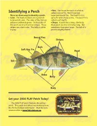 Identifying a Perch Called a Dorsal Fin