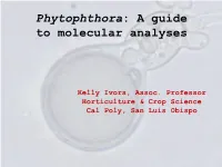 Phytophthora: a Guide to Molecular Analyses
