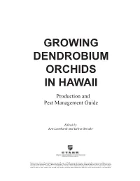 Growing Dendrobium Orchids in Hawaii