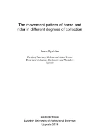 The Movement Pattern of Horse and Rider in Different Degrees of Collection