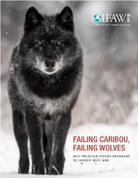 Failing Caribou, Failing Wolves Why Predator Poison Programs in Canada Must End
