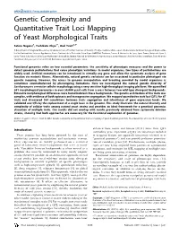Genetic Complexity and Quantitative Trait Loci Mapping of Yeast Morphological Traits