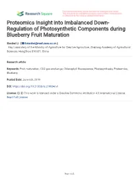 Proteomics Insight Into Imbalanced Down-Regulation of Photosynthetic