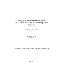 Biologically Inspired Control Systems for Autonomous Navigation and Escape from Pursuers