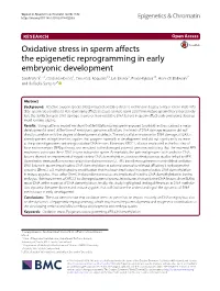 Oxidative Stress in Sperm Affects the Epigenetic Reprogramming in Early