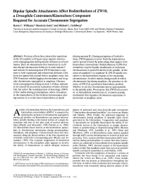 Bipolar Spindle Attachments Affect Redistributions of ZW10, a Drosophila Centromere/Kinetochore Component Required for Accurate Chromosome Segregation Byron C