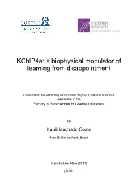 Kchip4a: a Biophysical Modulator of Learning from Disappointment