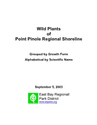 3-Web PP Plant List