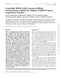 A Portable BRCA1-HAC (Human Artificial Chromosome) Module For