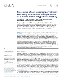 Containing Interneurons in Hippocampus of a Murine