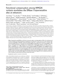 Functional Compensation Among HMGN Variants Modulates the Dnase I Hypersensitive Sites at Enhancers