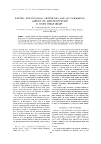Partial Purification, Properties and Glycoprotein Nature of Arylsulphatase B from Sheep Brain