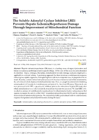 The Soluble Adenylyl Cyclase Inhibitor LRE1 Prevents Hepatic Ischemia/Reperfusion Damage Through Improvement of Mitochondrial Function