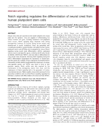 Notch Signaling Regulates the Differentiation of Neural Crest From