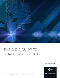 The Cio's Guide to Quantum Computing