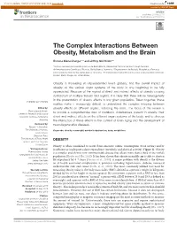 The Complex Interactions Between Obesity, Metabolism and the Brain