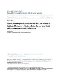 Effects of Feeding Insect-Protected Corn and Corn Residue to Cattle, and Evaluation of Distillers Grains Storage When Mixed with Crop Residue on Cattle Performance