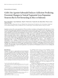 GABA Site Agonist Gaboxadol Induces Addiction-Predicting Persistent Changes in Ventral Tegmental Area Dopamine Neurons but Is Not Rewarding in Mice Or Baboons