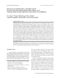 MOLECULAR SYSTEMATICS and PHYLOGENY of OLD and NEW WORLD RATSNAKES, Elaphe AUCT., and RELATED GENERA (REPTILIA, SQUAMATA, COLUBRIDAE)