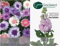 2020 New Varieties