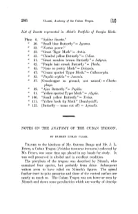 Notes on the Anatomy of the Cuban Trogon