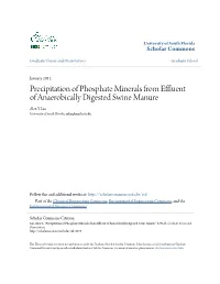 Precipitation of Phosphate Minerals from Effluent of Anaerobically Digested Swine Manure Alex Y