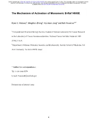 The Mechanism of Activation of Monomeric B-Raf V600E
