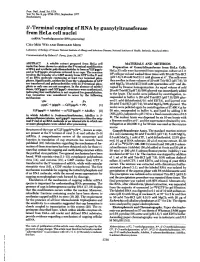 5'-Terminal Capping of RNA by Guanylyltransferase