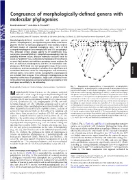 Congruence of Morphologically-Defined Genera with Molecular Phylogenies