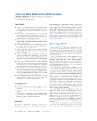 Grains and Health: Misinformation and Misconceptions DB Sheats and JM Jones, St