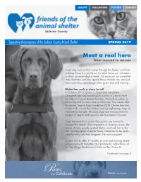 Meet a Real Hero from Rescued to Rescuer