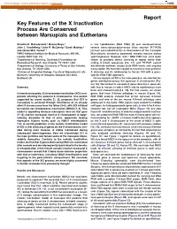 82262967.Pdf