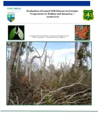 Evaluation of Laurel Wilt Disease in Georgia: Progression in Redbay and Sassafras – 2008-2010