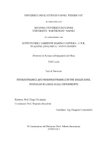 Hydrodynamics and Morphodynamics in the Swash Zone: Hydralab Iii Large-Scale Experiments