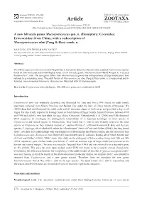 Hemiptera: Coccoidea: Eriococcidae) from China, with a Redescription of Macroporicoccus Ulmi (Tang & Hao) Comb
