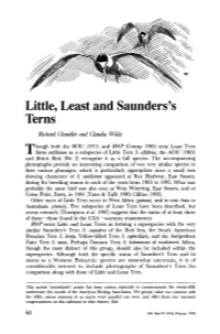 Little, Least and Saunders's Terns Richard Chandler and Claudia Wilds