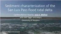 Sediment Characterization of the San Luis Pass Flood Tidal Delta Carolina Ramon-Duenas, Julia S