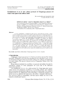 Establishment of an in Vitro Culture Protocol of Chuquiraga Jussieui J.F. Gmel
