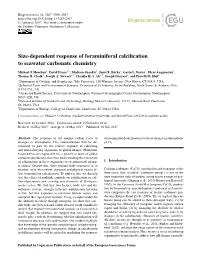 Size-Dependent Response of Foraminiferal Calcification To