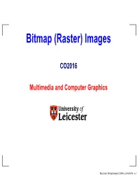 Bitmap (Raster) Images
