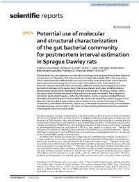 Potential Use of Molecular and Structural Characterization of the Gut