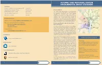 Scoping Handout