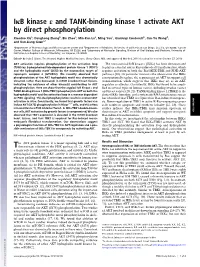 Iκb Kinase Ε and TANK-Binding Kinase 1 Activate AKT by Direct Phosphorylation